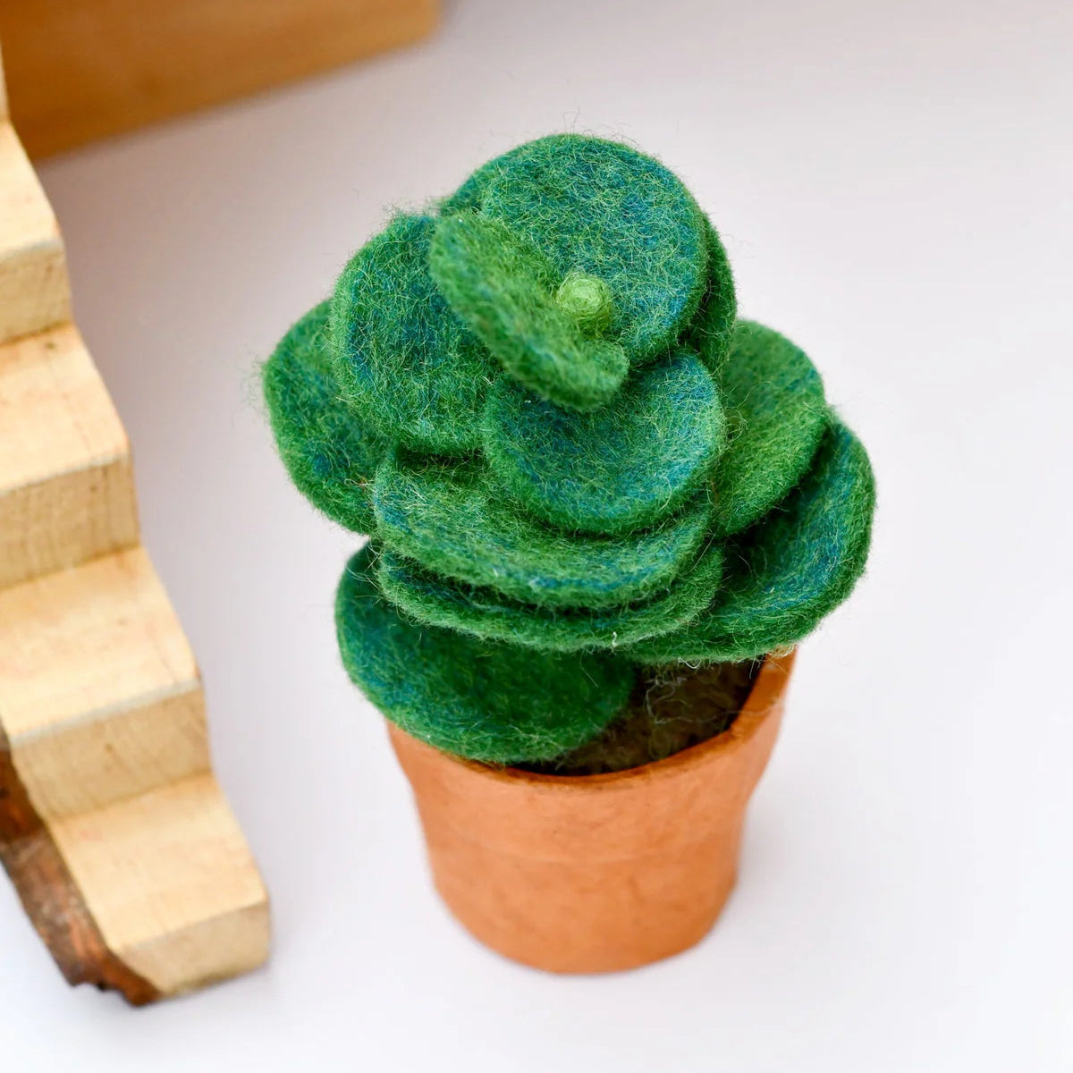 Felt Green Jade Succulent Plant with Lokta Paper Pot