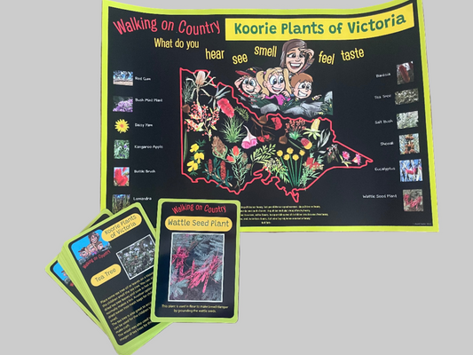 Walking on Country - Koorie Plants Poster and Cards by April Clarke