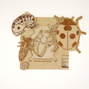 Ladybug Puzzle