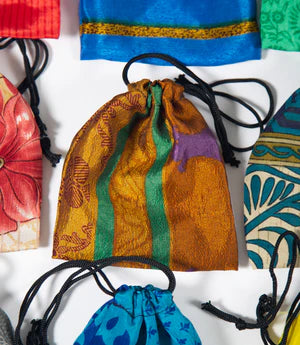 Sari Pouch