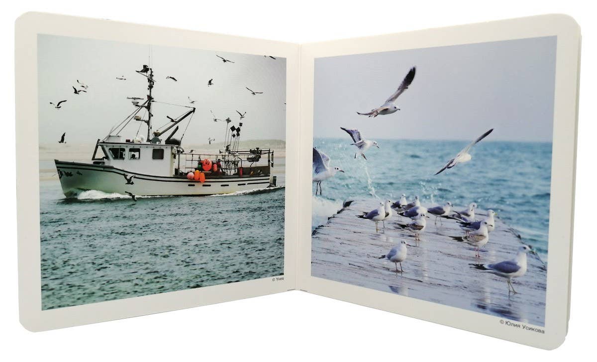 The Sea - Wordless Photo Book NWB014