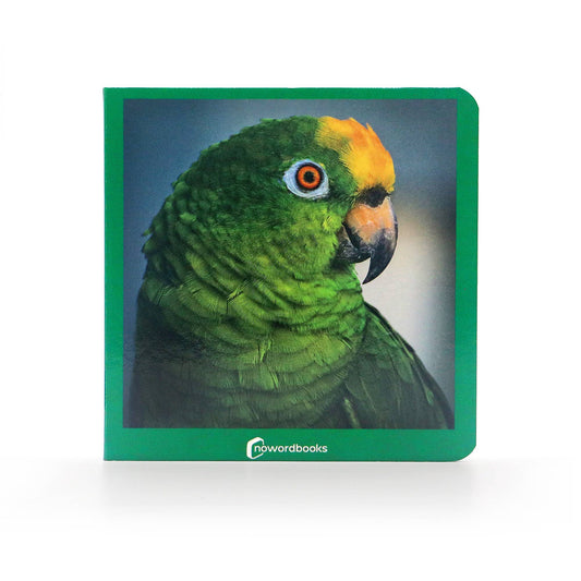 Green - Wordless Photo Book NWB039