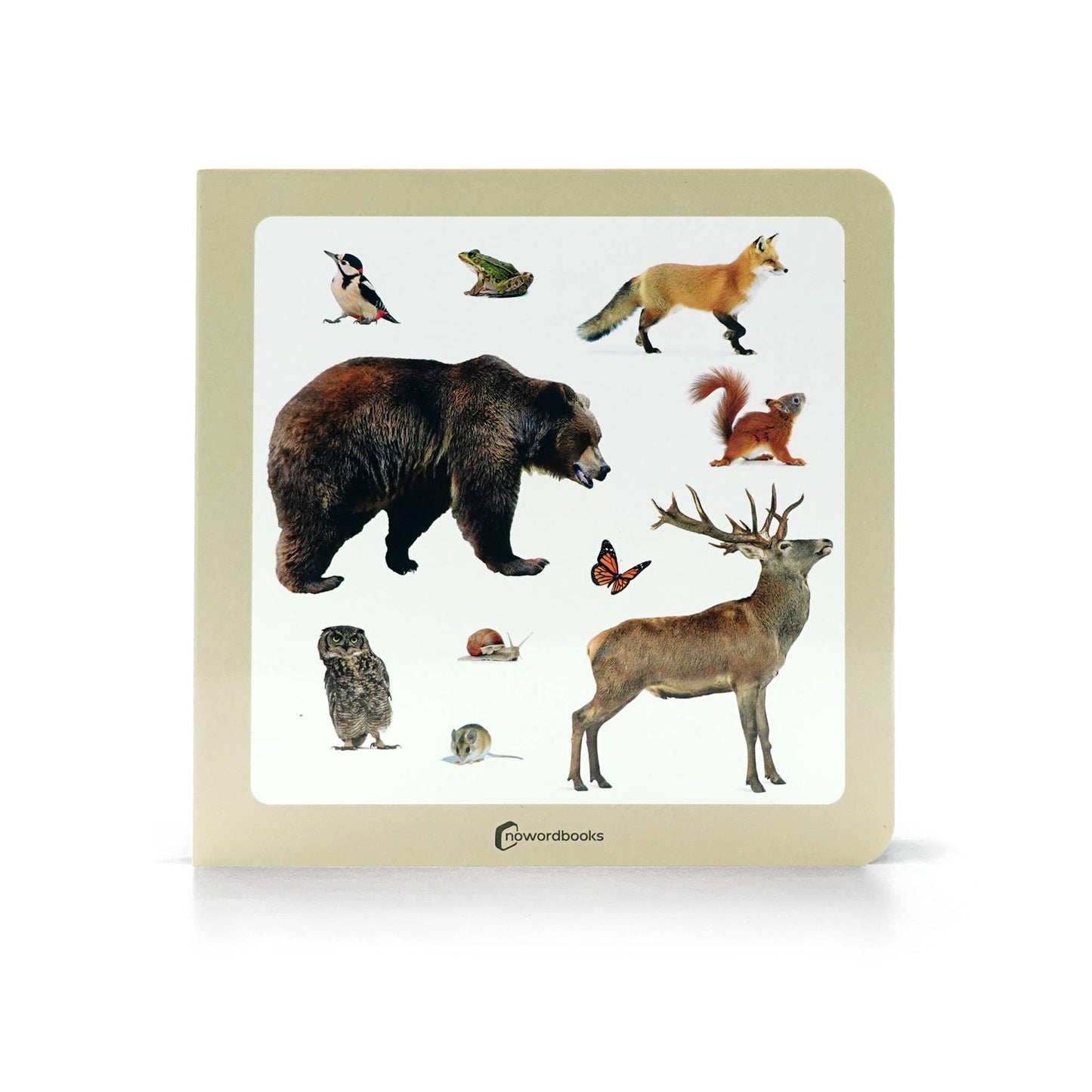 Forest Animals 2 - Wordless Photo Book NWB051