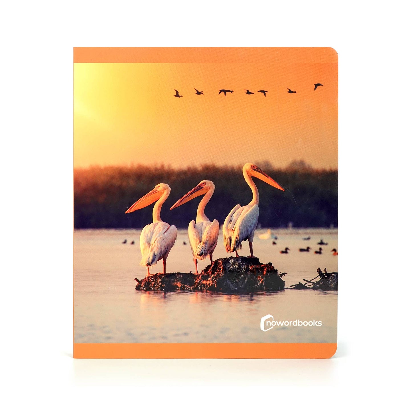 Birds - Wordless Photo Book NWB116