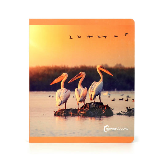 Birds - Wordless Photo Book NWB116