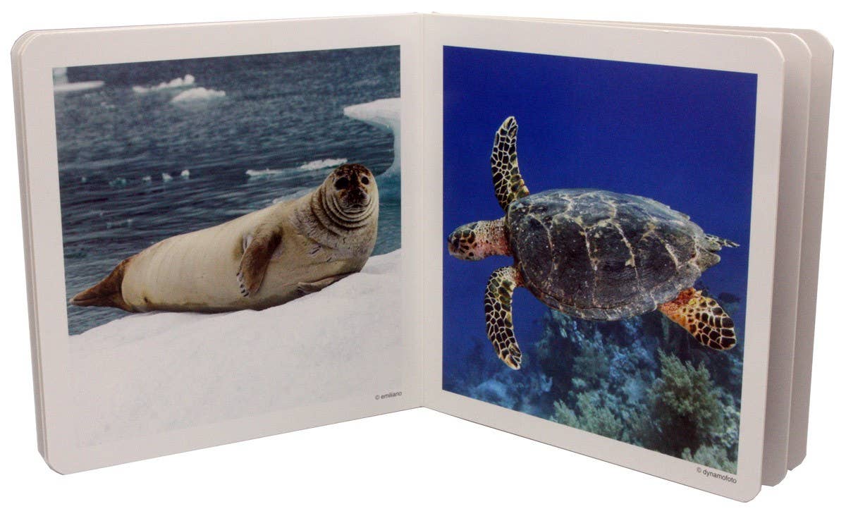 The Marine Animals - Wordless Photo Book NWB022