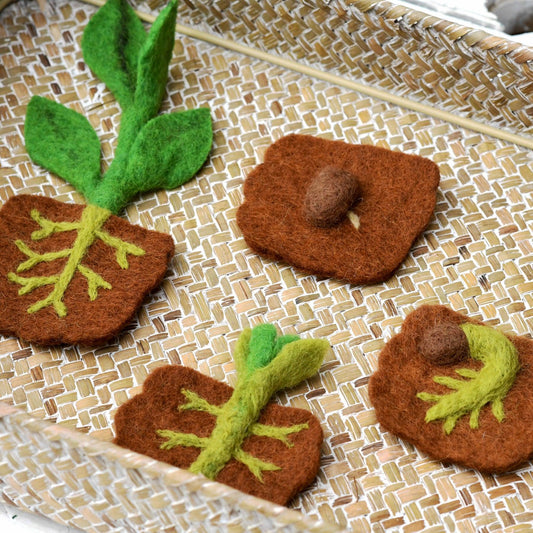 Felt Life Cycle of a Bean Plant