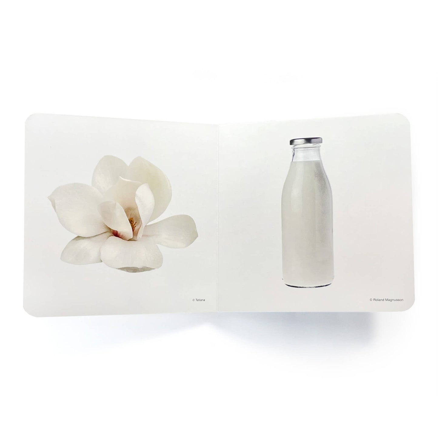 White - Wordless Photo Book NWB044