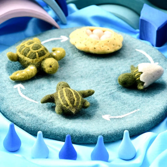 Felt Lifecycle of a Green Sea Turtle