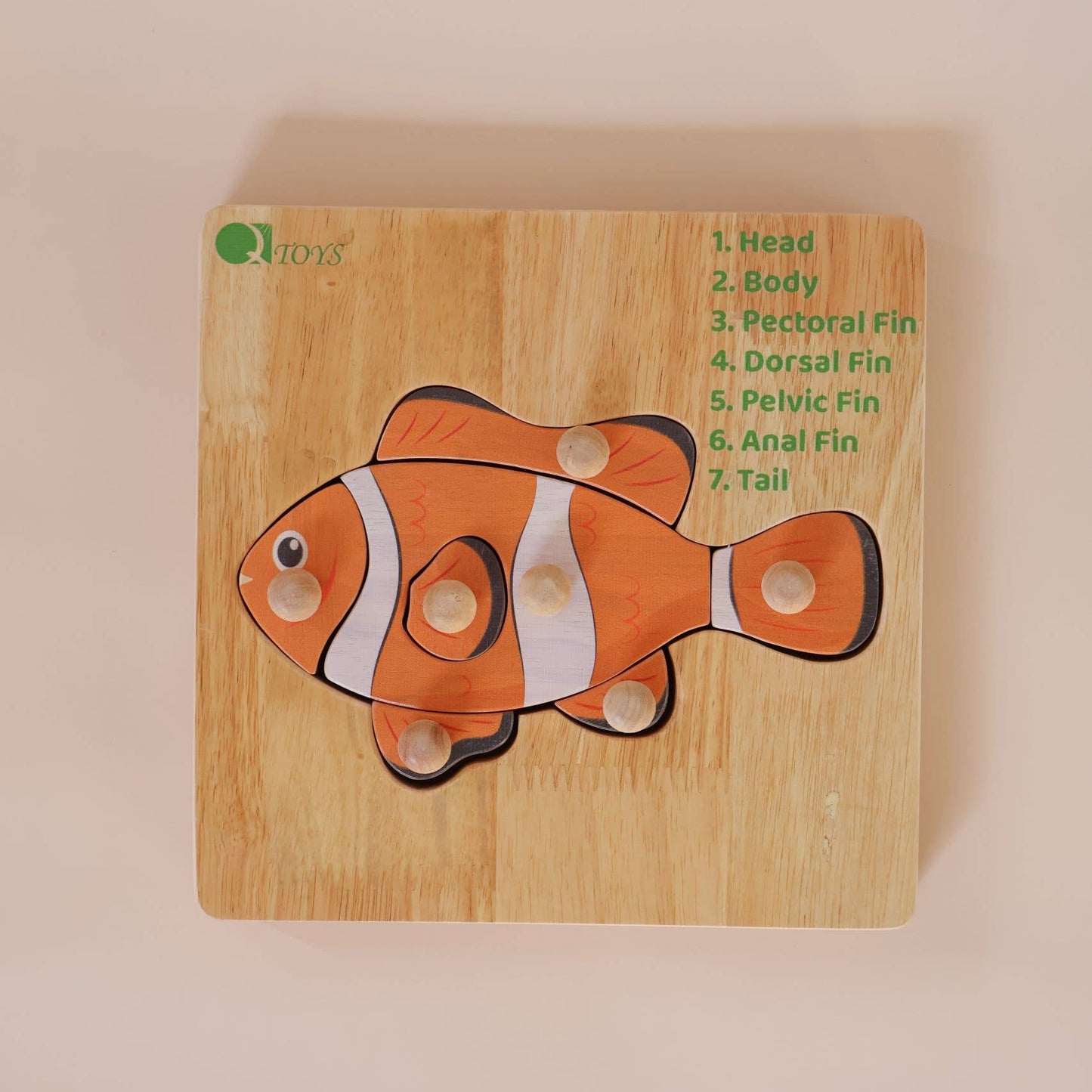Clown Fish Puzzle