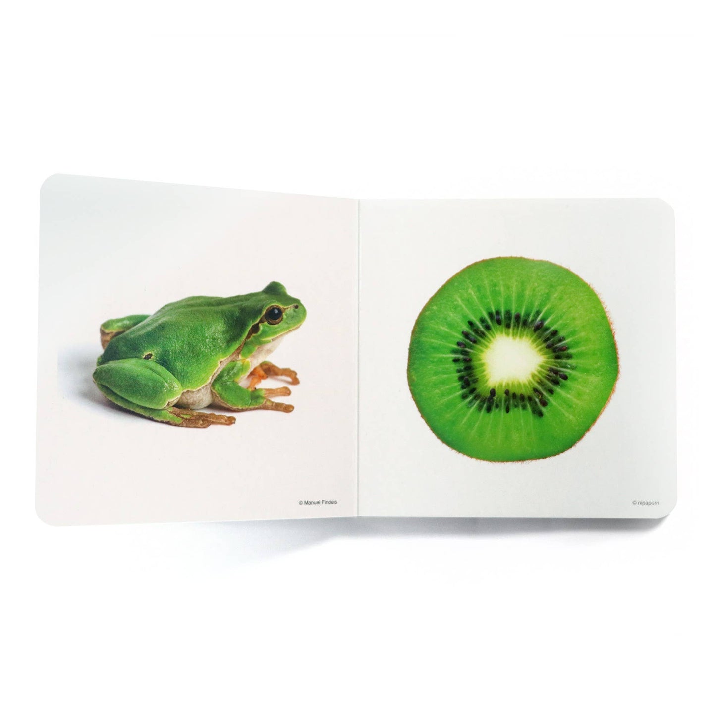 Green - Wordless Photo Book NWB039