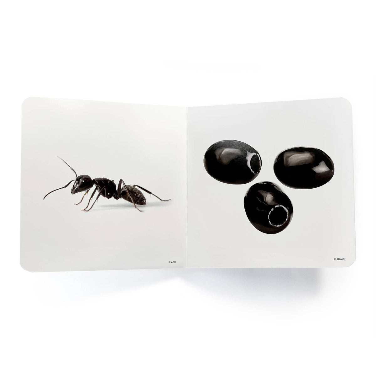 Black - Wordless Photo Book NWB045