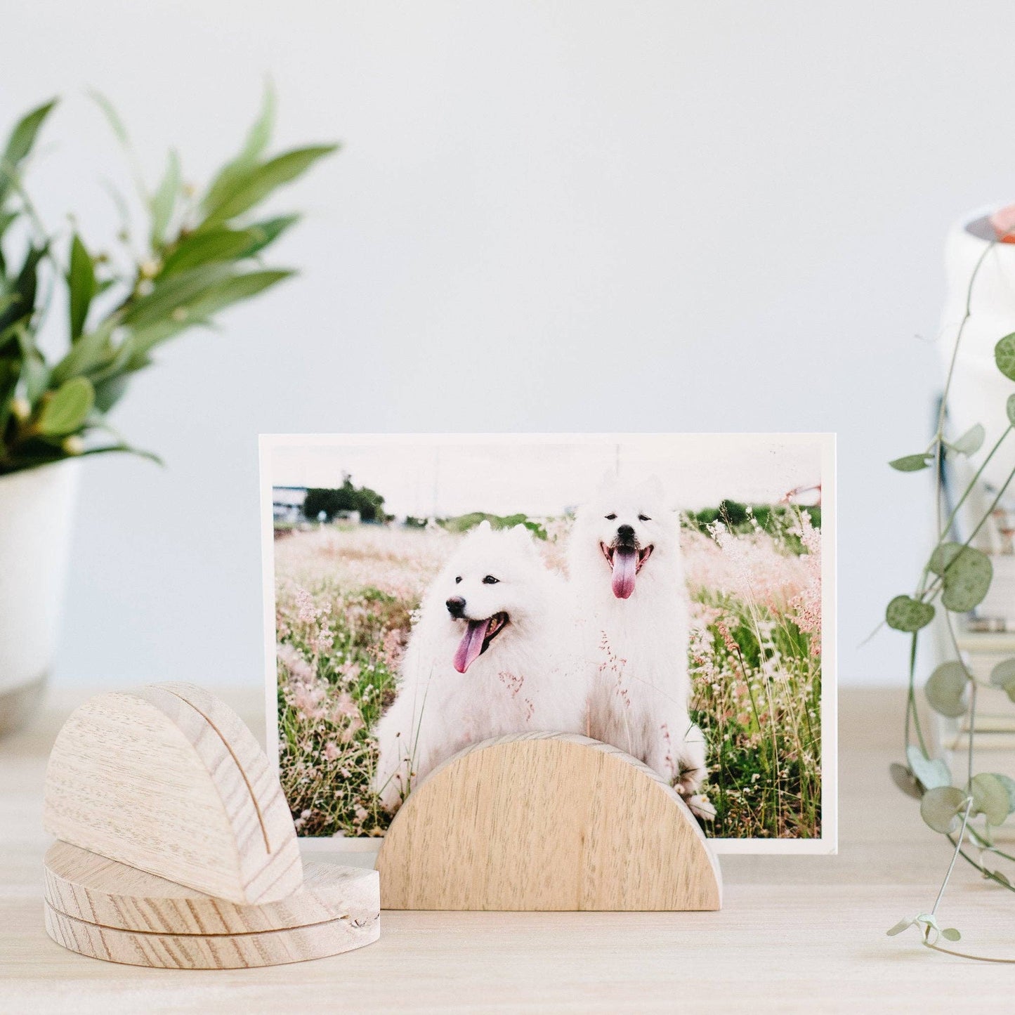 Large Arch Timber Photo Stand