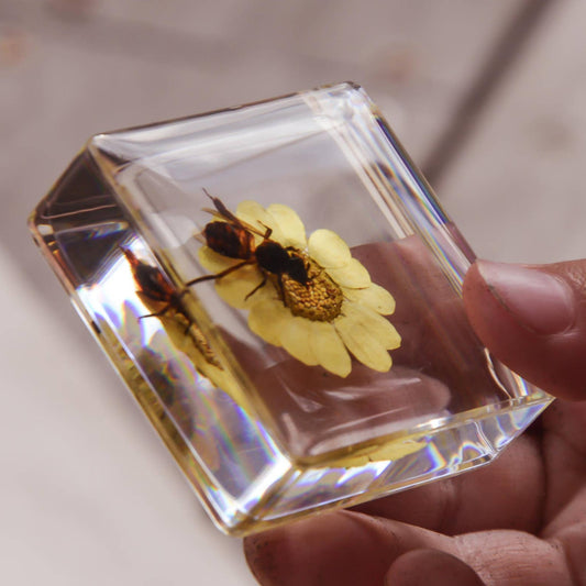 Bee and Flower Resin Specimen