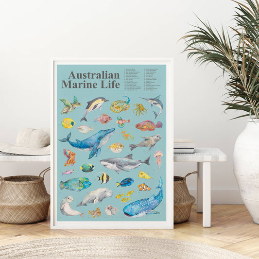 Australian Marine Life A2 Art Poster