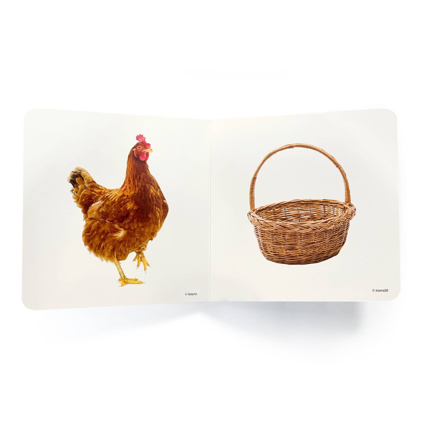 Brown - Wordless Photo Book NWB047