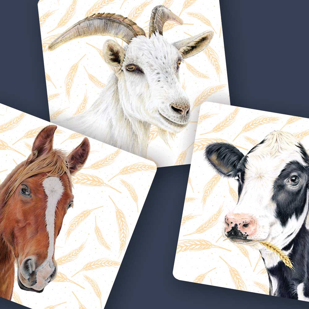 Australian Memory Game Farm Friends