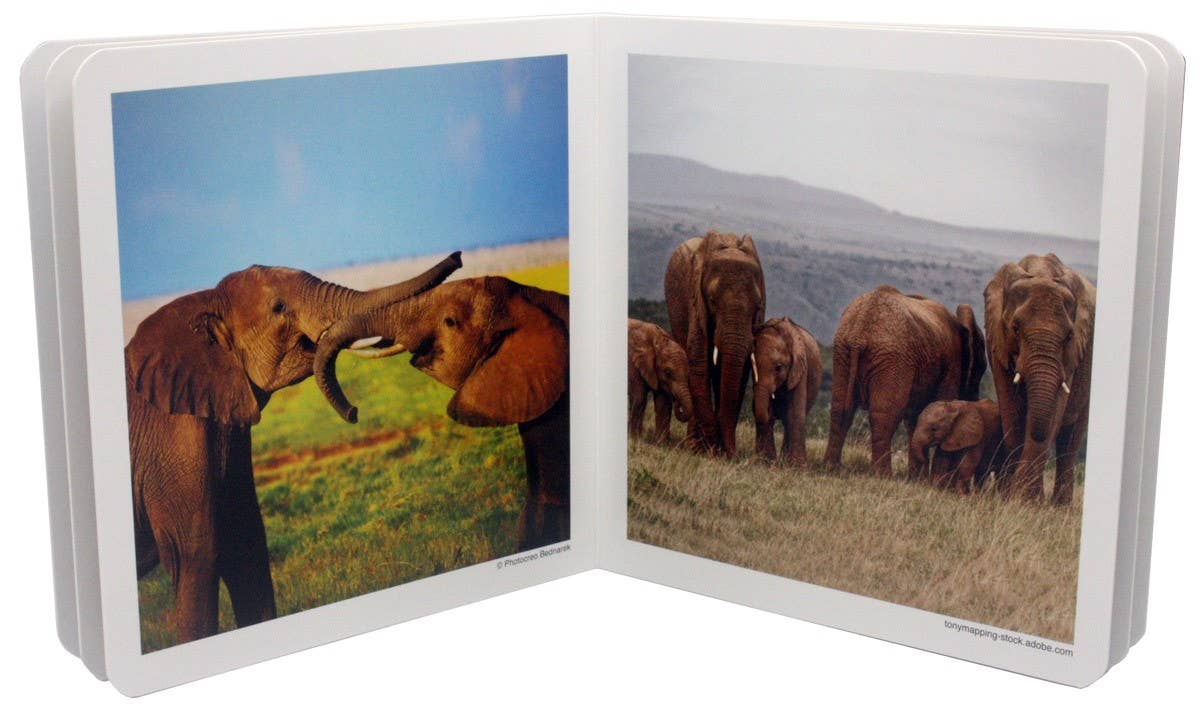 Animal Families II - Wordless Photo Book NWB028