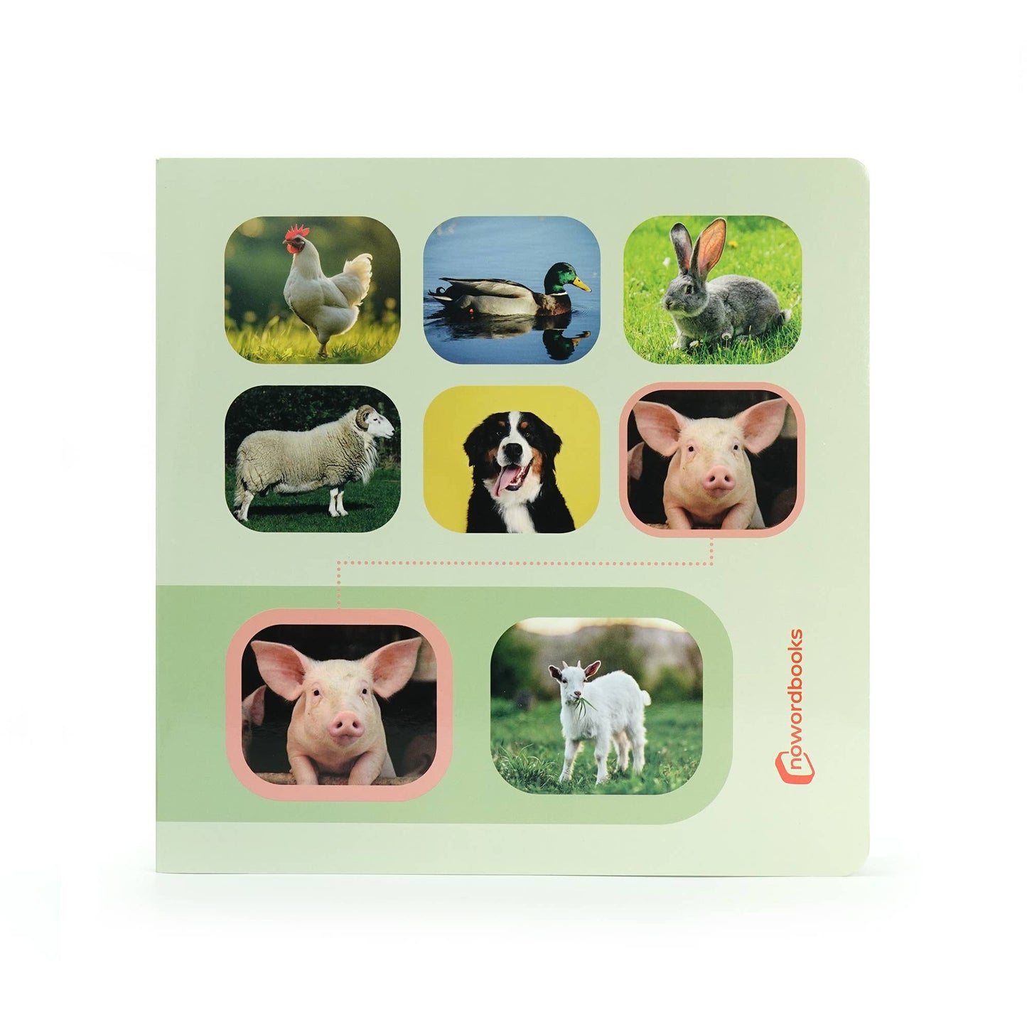 Seek & Find: Farm Animals - Wordless photo book NWB121