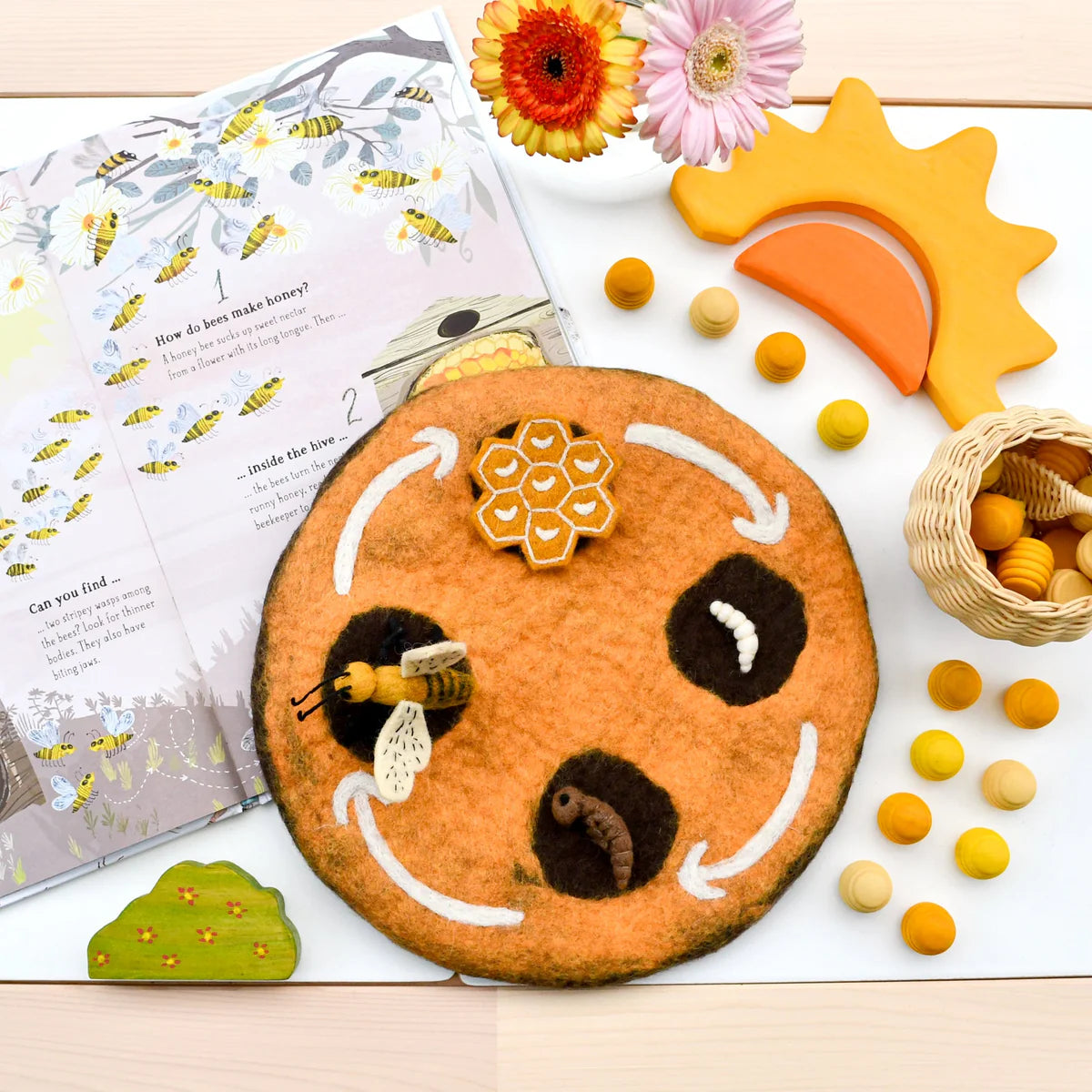 Honey Bee Lifecycle - Fair Trade Felt