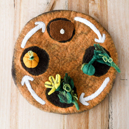 Felt LIfecyle of Pumpkin