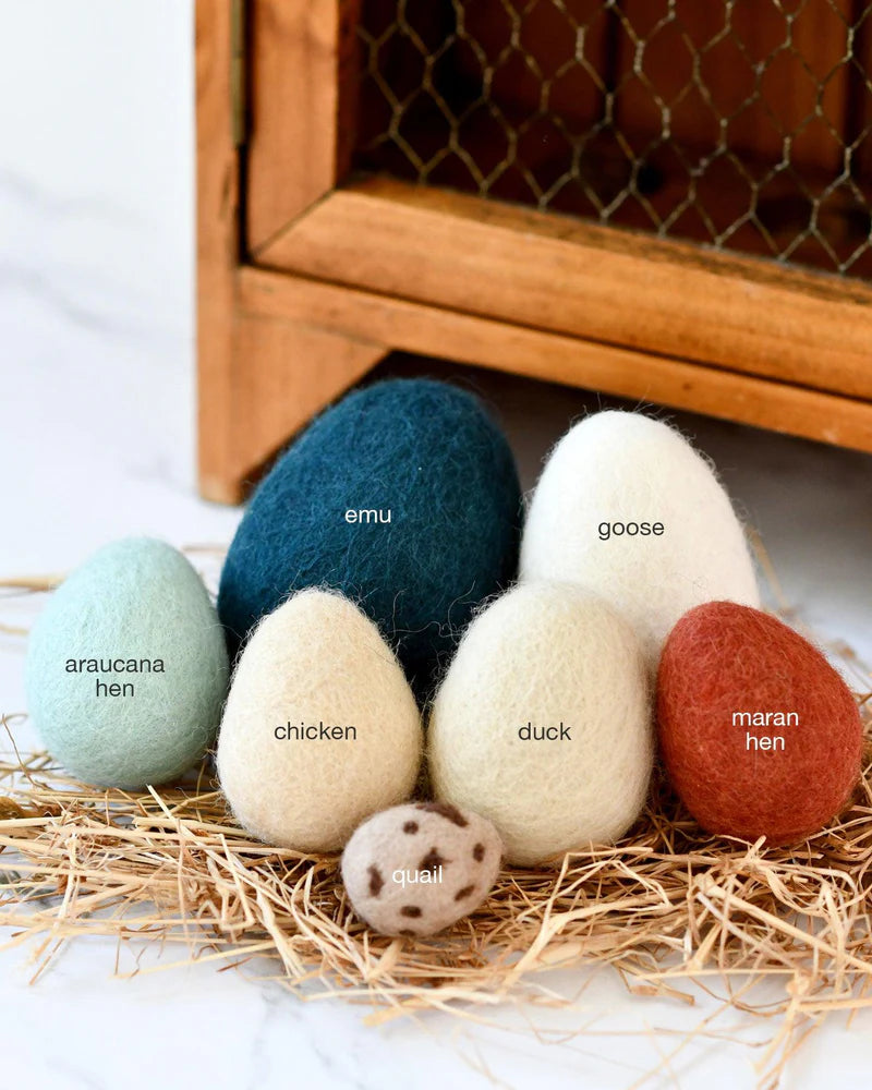 felt eggs (7)