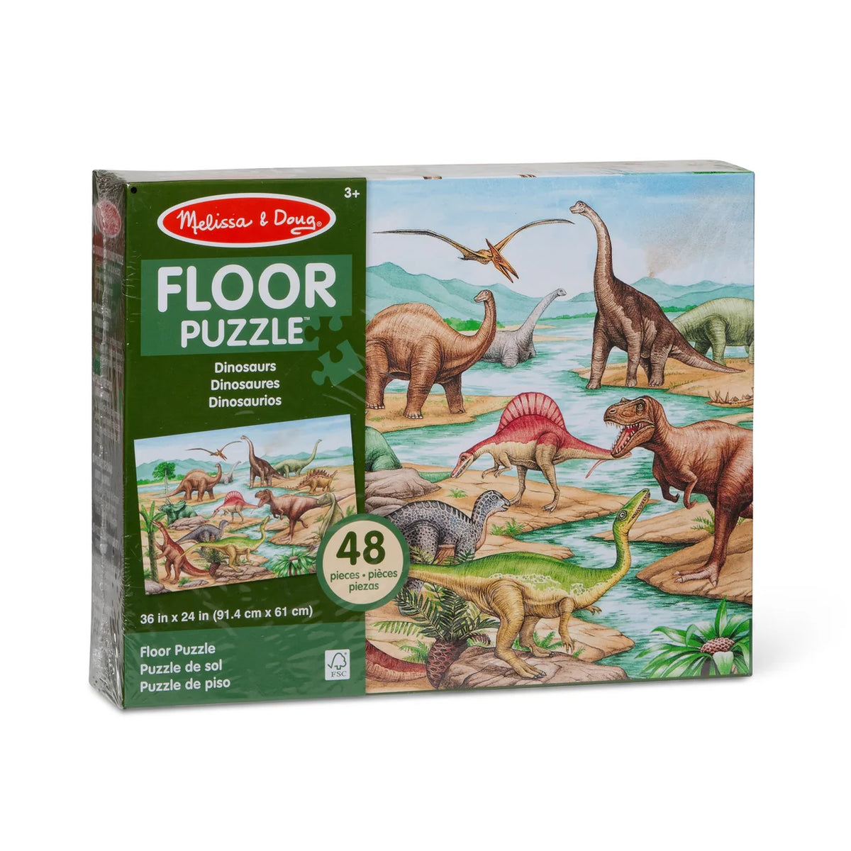 Floor puzzles -
