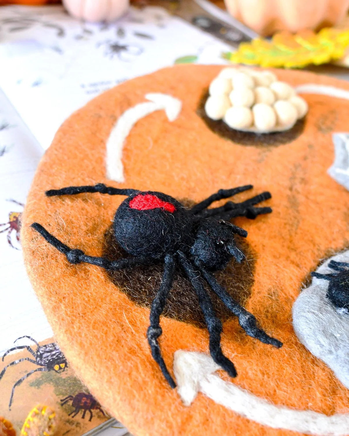 Felt Lifecycle of a Redback Spider
