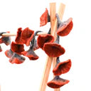 Flower Garland - Rust Brown